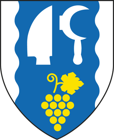 15. Zasedání zastupitelstva MČ 12. 3. 2025